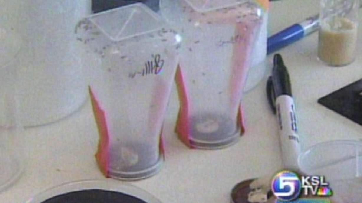 Researchers at U Studying Process of Detoxification