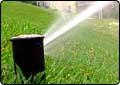 Sprinklers are Often Biggest Water Waster