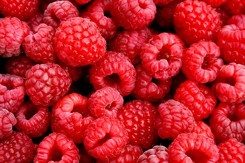 Raspberries Susceptible To Diseases