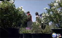 Utahns Learn to Grow Water-Wise Gardens