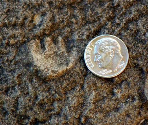 Ancient mammal tracks found at national monument