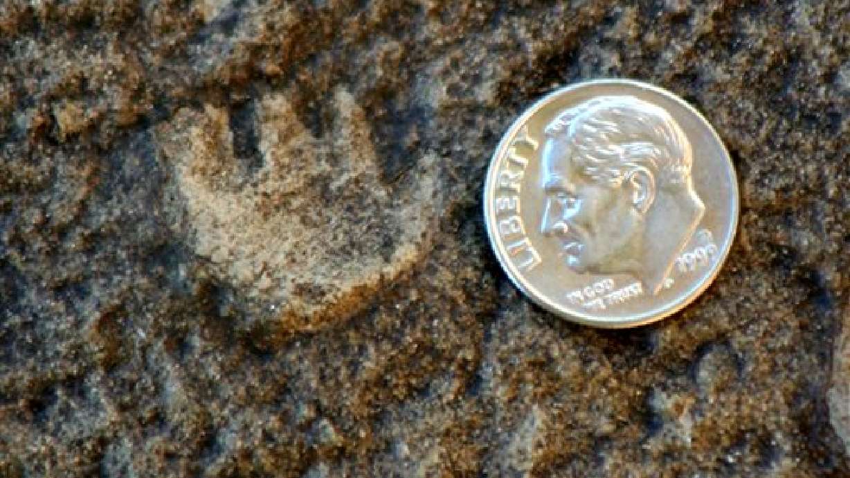 Ancient mammal tracks found at national monument