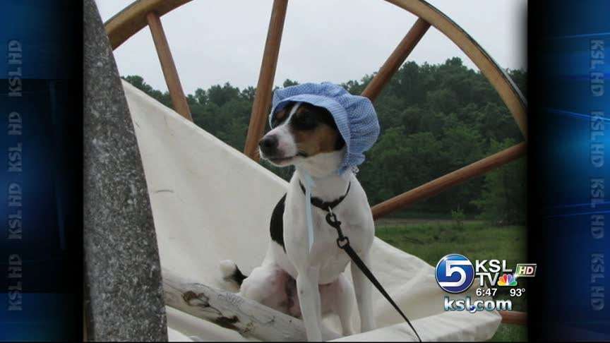 Man retracing handcart company's trek to Salt Lake