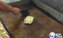 Entertainment Abounds in San Antonio