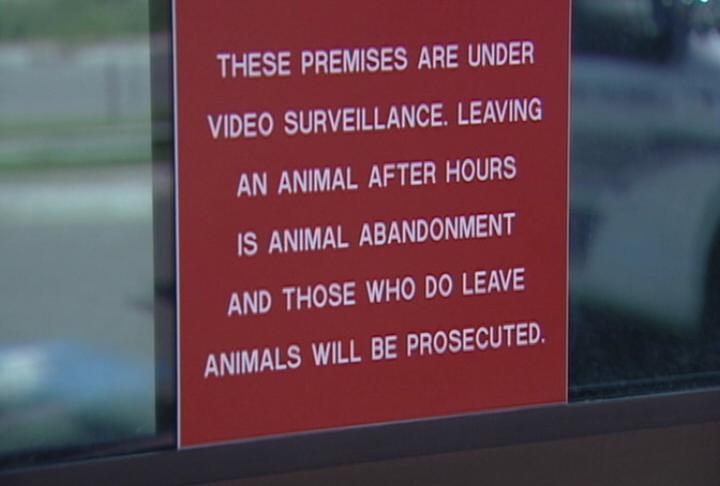 More pets being abandoned at shelter in the middle of the night