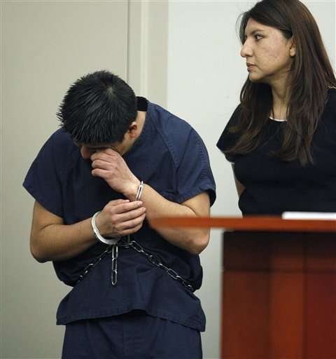 (AP Photo/Laura Seitz, Pool)