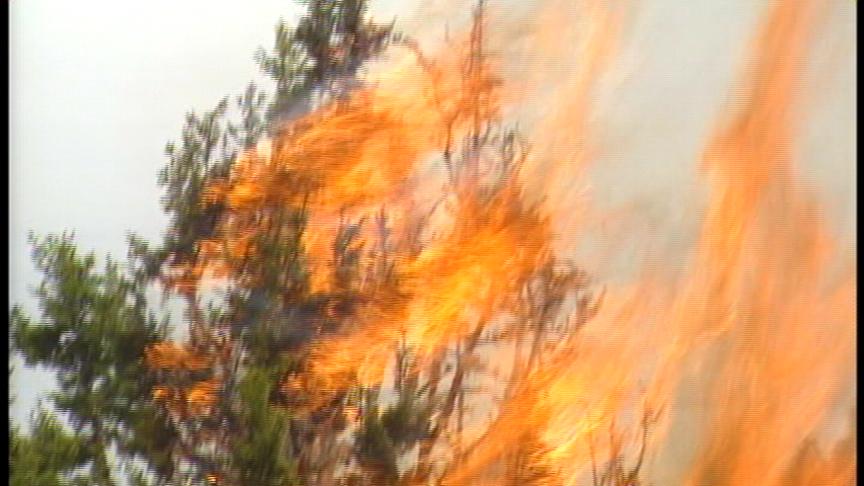 Utah Firefighters Getting Ready for This Year's Wildfire Season