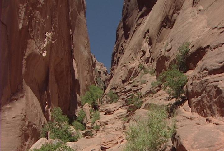 Author describes true story behind new pioneer novel