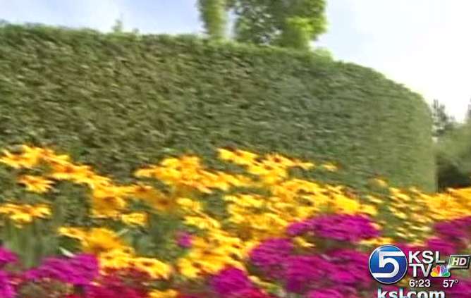 Staycation: Utah County