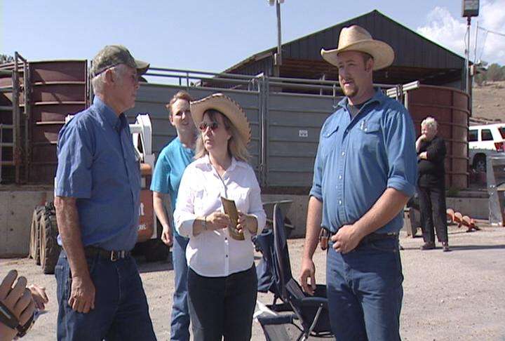Utah trainers ready wild horses for Extreme Mustang Makeover