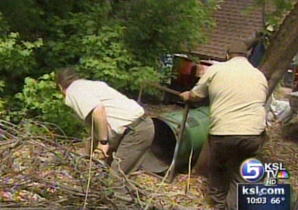 Bear Shows Up in Back Yard