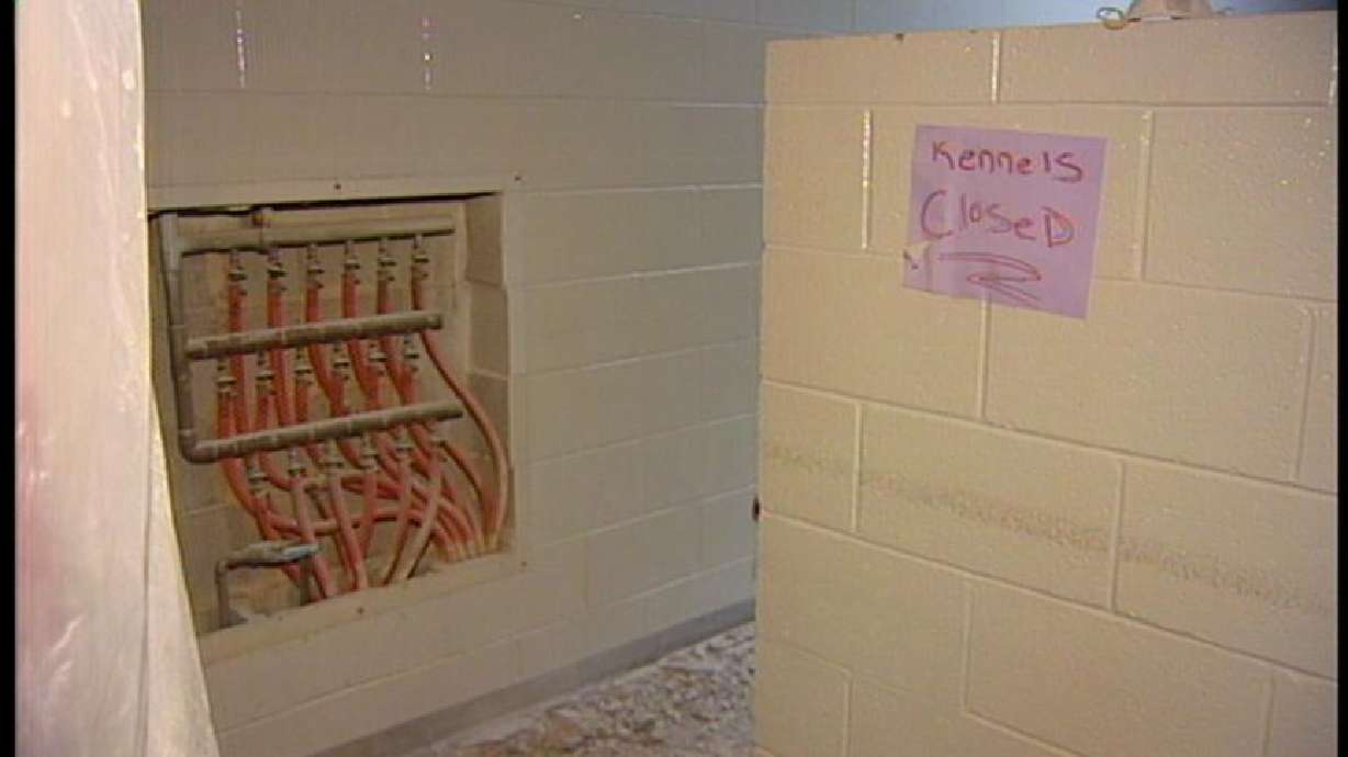 New Animal Shelter Not Ready for Cats and Dogs