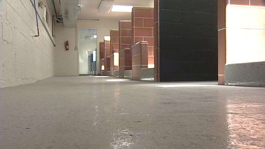 New Animal Shelter Not Ready for Cats and Dogs