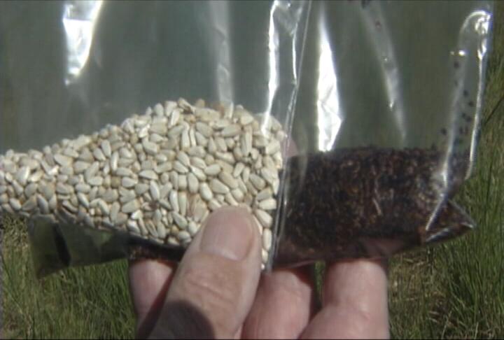 Proposal: Turning vacant, government-owned land into farmland