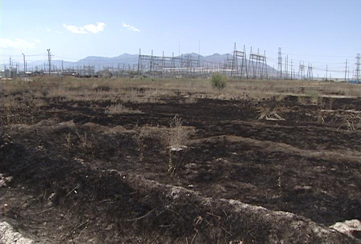 Proposal: Turning vacant, government-owned land into farmland