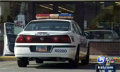 Police Search for Carjackers