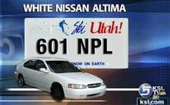 Police Search for Carjackers