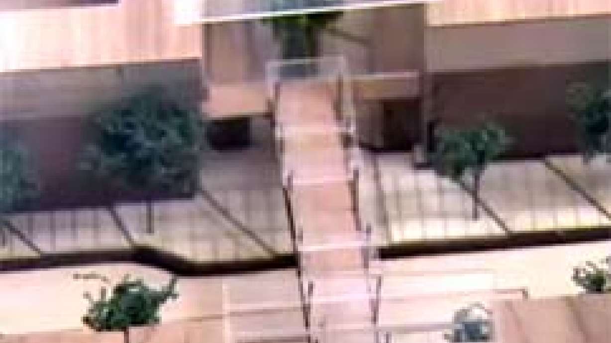 Poll: Residents Support Downtown Skybridge