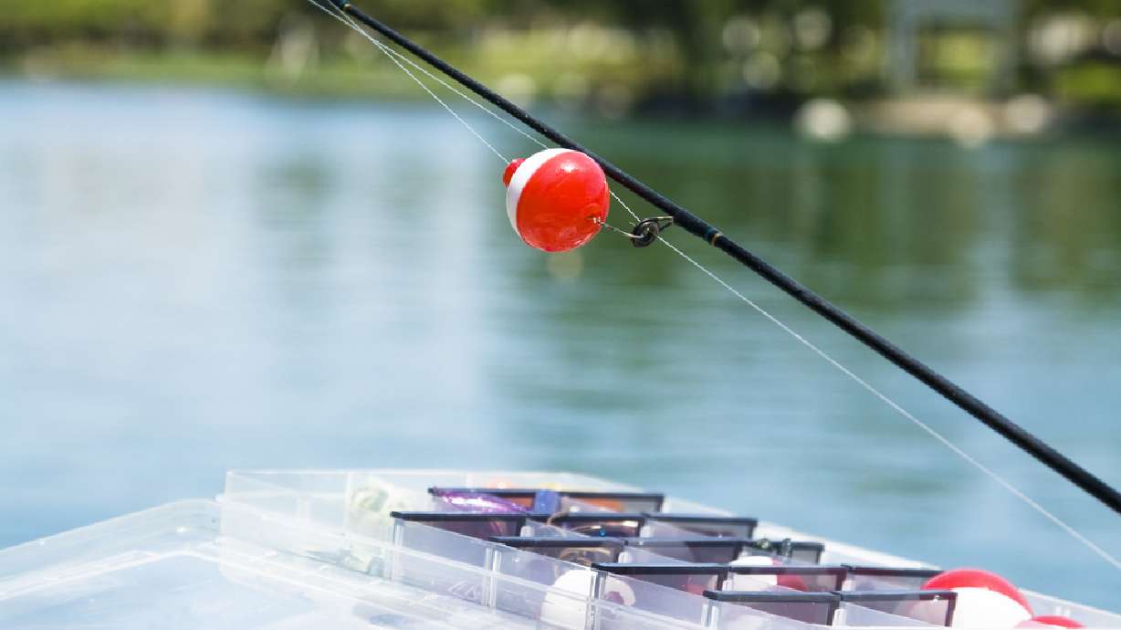 DWR gives go-ahead for cheaper teen fishing licenses