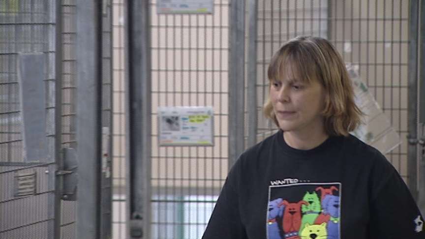 Reward offered for stolen dog