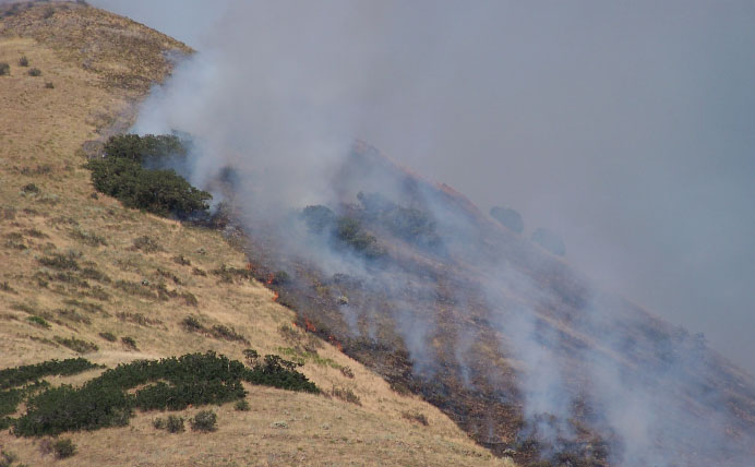 2 Utah County fires close canyons