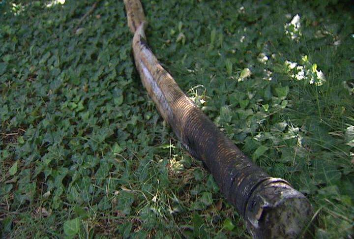 Hose that Spero Fotes hit, causing him to lose control of his motorcycle and crash.