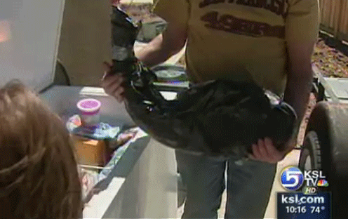 28-Pound Catfish Caught in Utah Lake