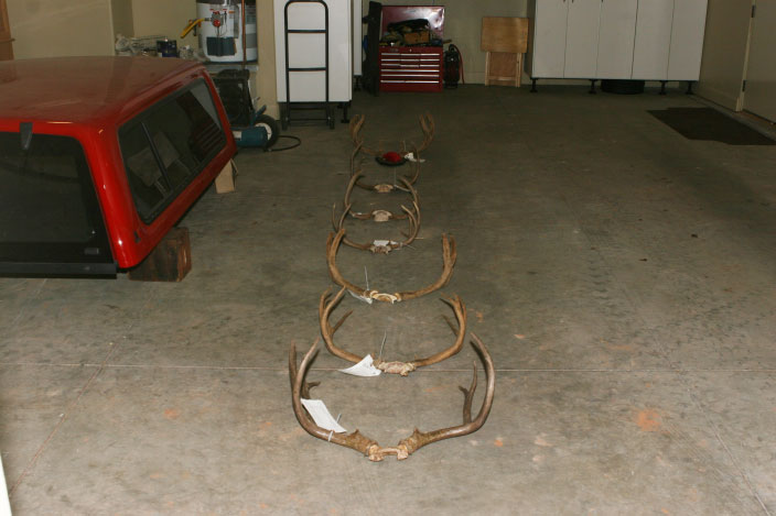 Man charged with poaching 7 deer