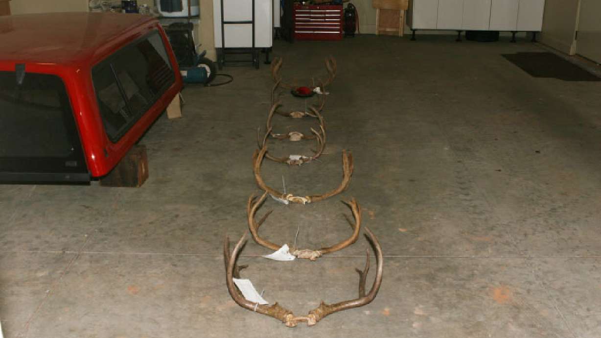 Man charged with poaching 7 deer