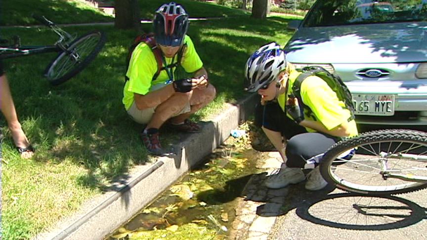 More Mosquitoes Increasing Chances of Contracting West Nile