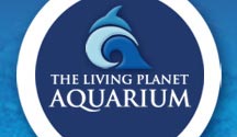 Change of Plans for Living Planet Aquarium