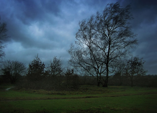 Poll: Westerners wary of climate change action