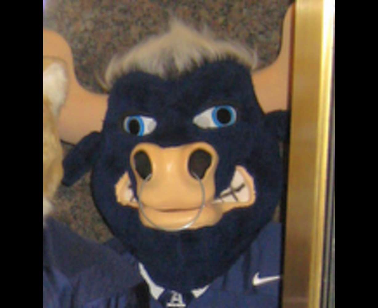 Big 5 mascots invade KSL TV