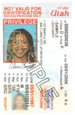 Sample Driver Privilege Card
