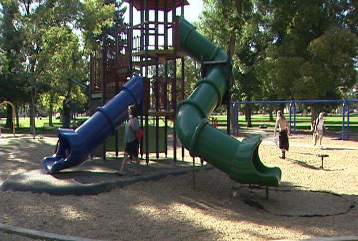 Parents cautioned not to go down slide with children