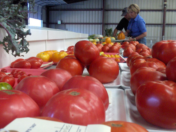 Renewed interest in gardening prompts questions on canning 
