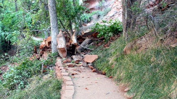 Popular Zion National Park trail reopens after slide