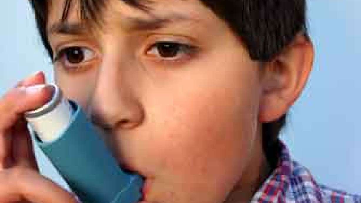 Experts Puzzled Over Some High Numbers in Utah Asthma Report