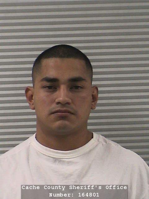 Family brawl leads to stabbing; 1 arrested