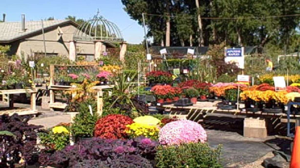 Fall no time to throw in the trowel