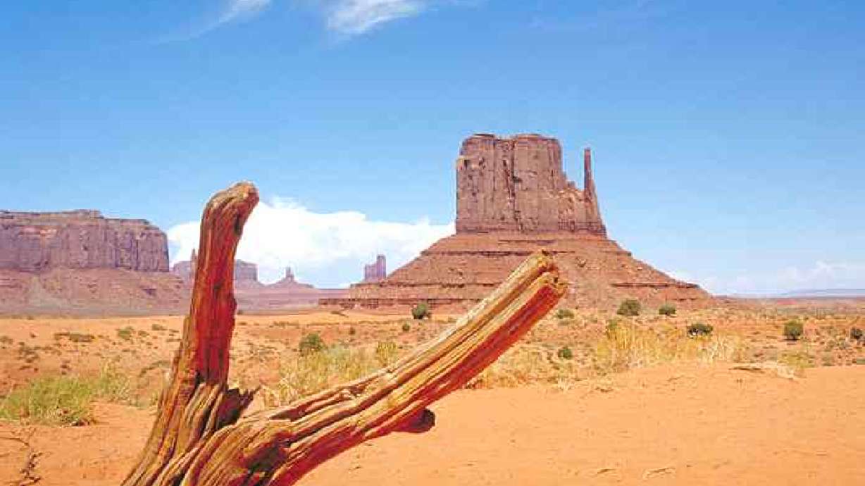 Utahns Are Too Employed