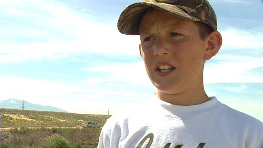 Wild Goose Chase with a Purpose