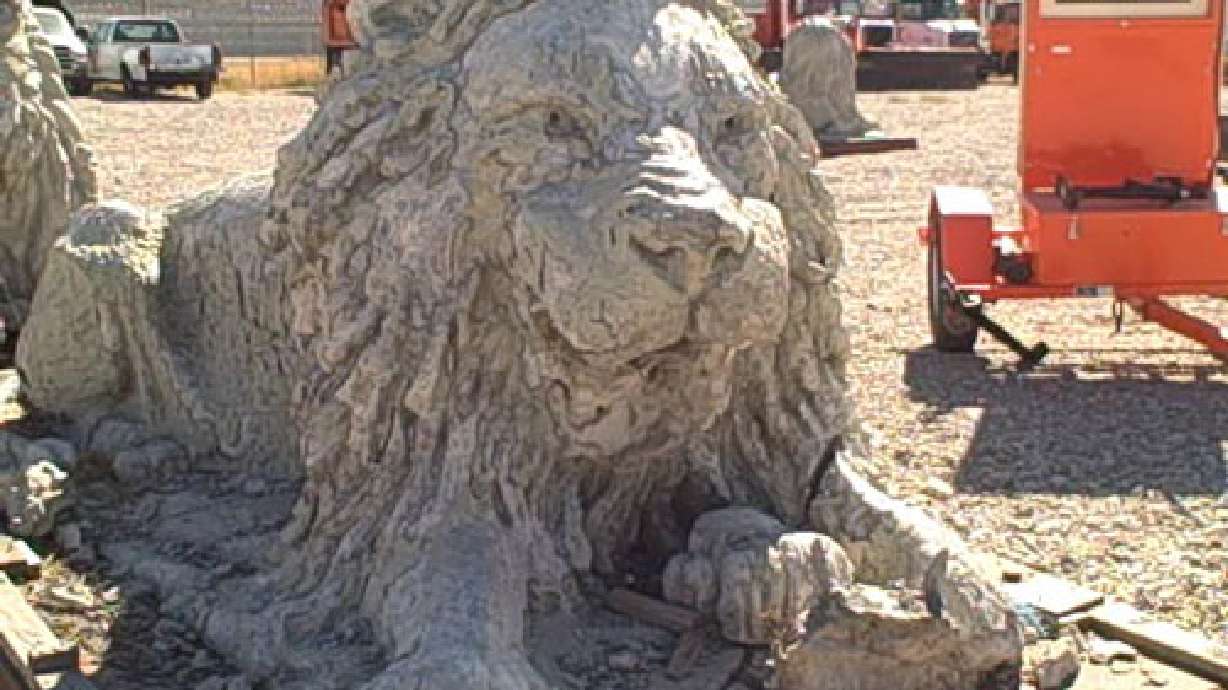 We're not lion: Bids accepted starting today