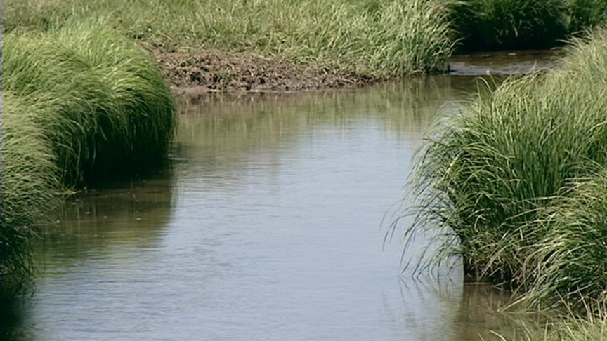 Utah congressmen dueling over proposed dam