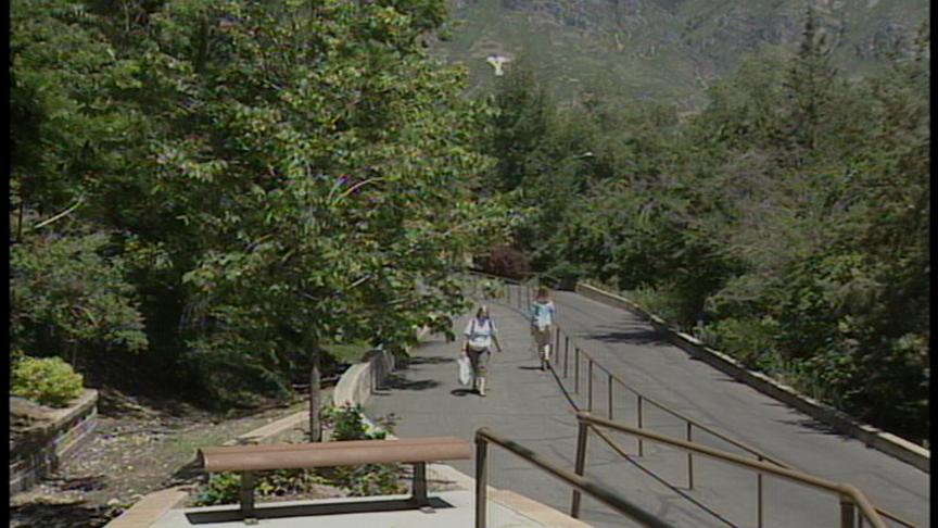Warning Issued at BYU After Jogger Reported She Was Raped