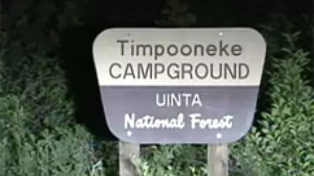 Boy Killed by Bear in American Fork Canyon