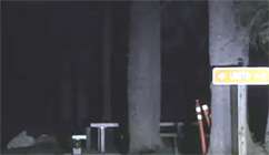 Boy Killed by Bear in American Fork Canyon