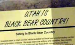 Boy Killed by Bear in American Fork Canyon