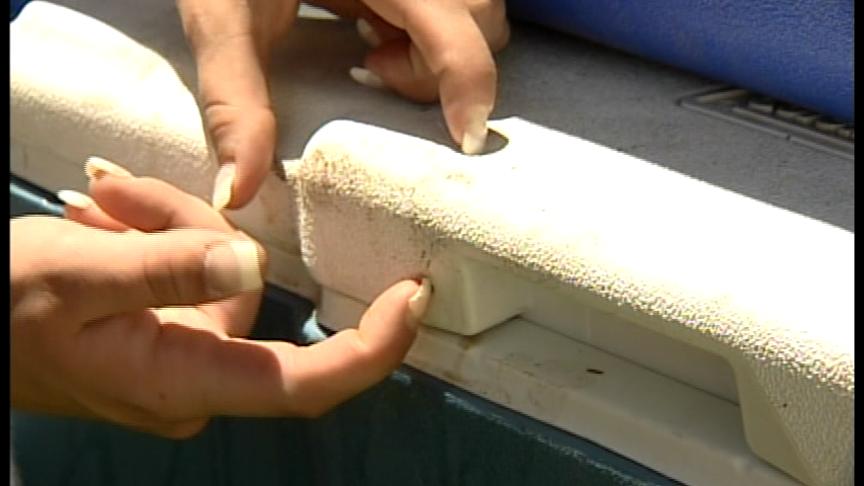 Bear that Killed Boy May Have Encountered Campers Earlier