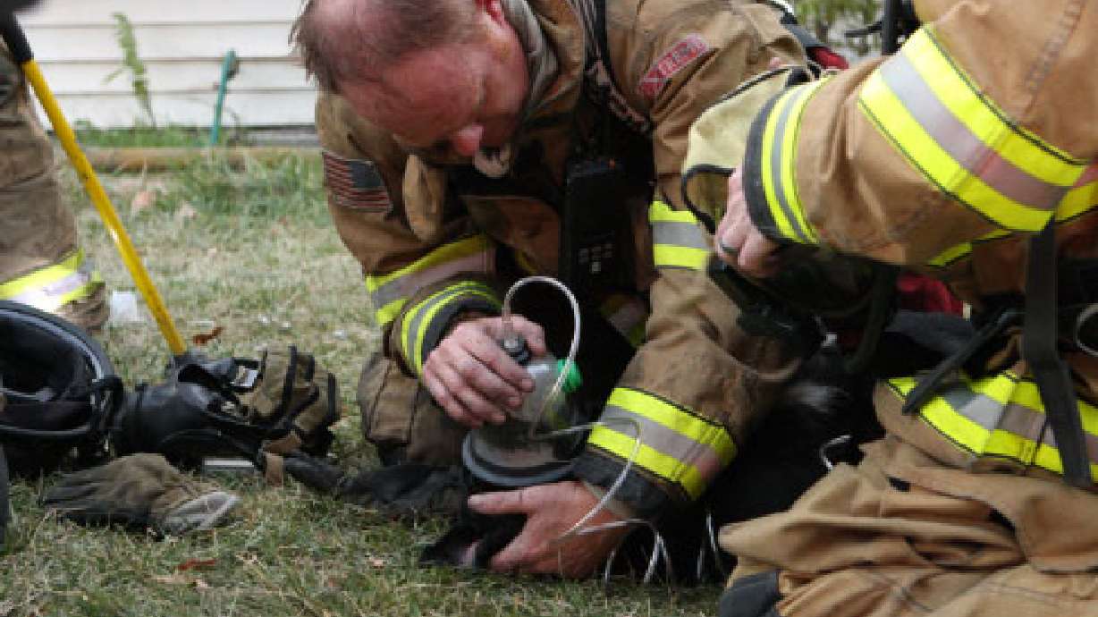 SLC firefighters use K-9 oxygen mask to save dog